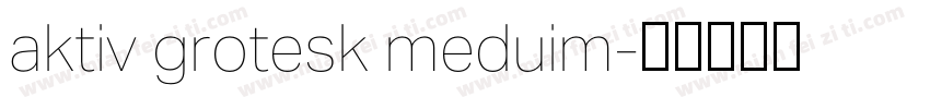 aktiv grotesk meduim字体转换